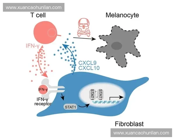 以心率波动为核心揭示身心健康调控与疾病风险评估新视角