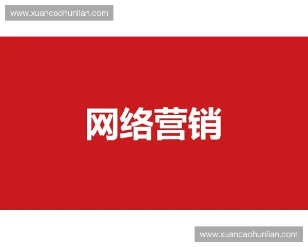 体育品牌公关策略创新与消费者互动体验全面提升方案
